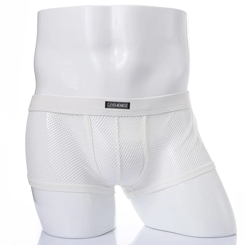 Men's Boxer Shorts Low Rise Transparent Underwear