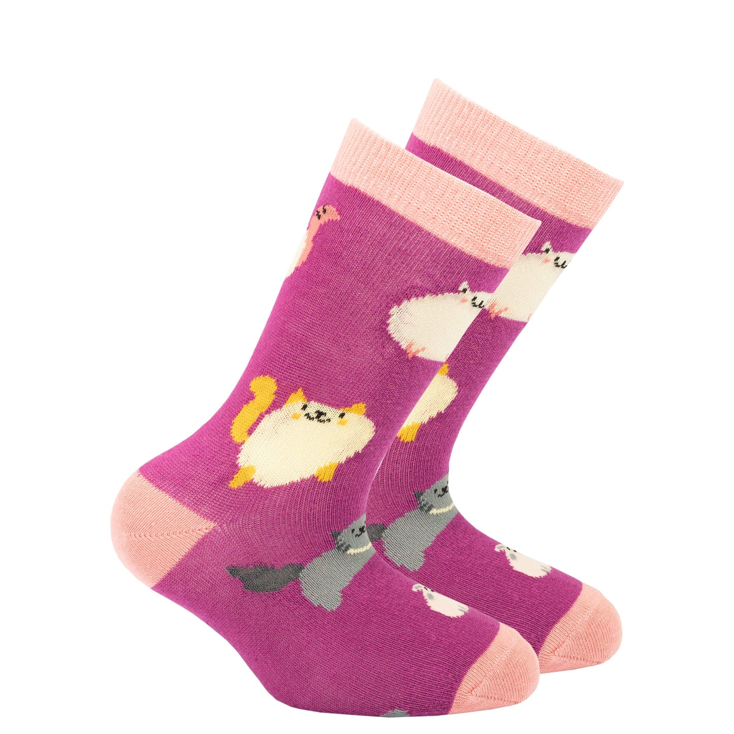 Kids Cute Cats Socks