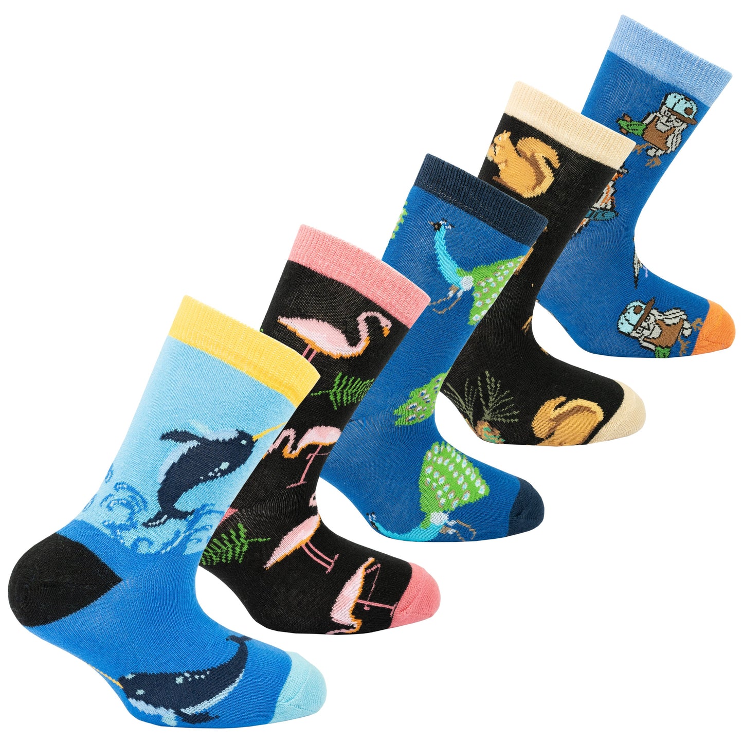 Kids Animal Planet Socks