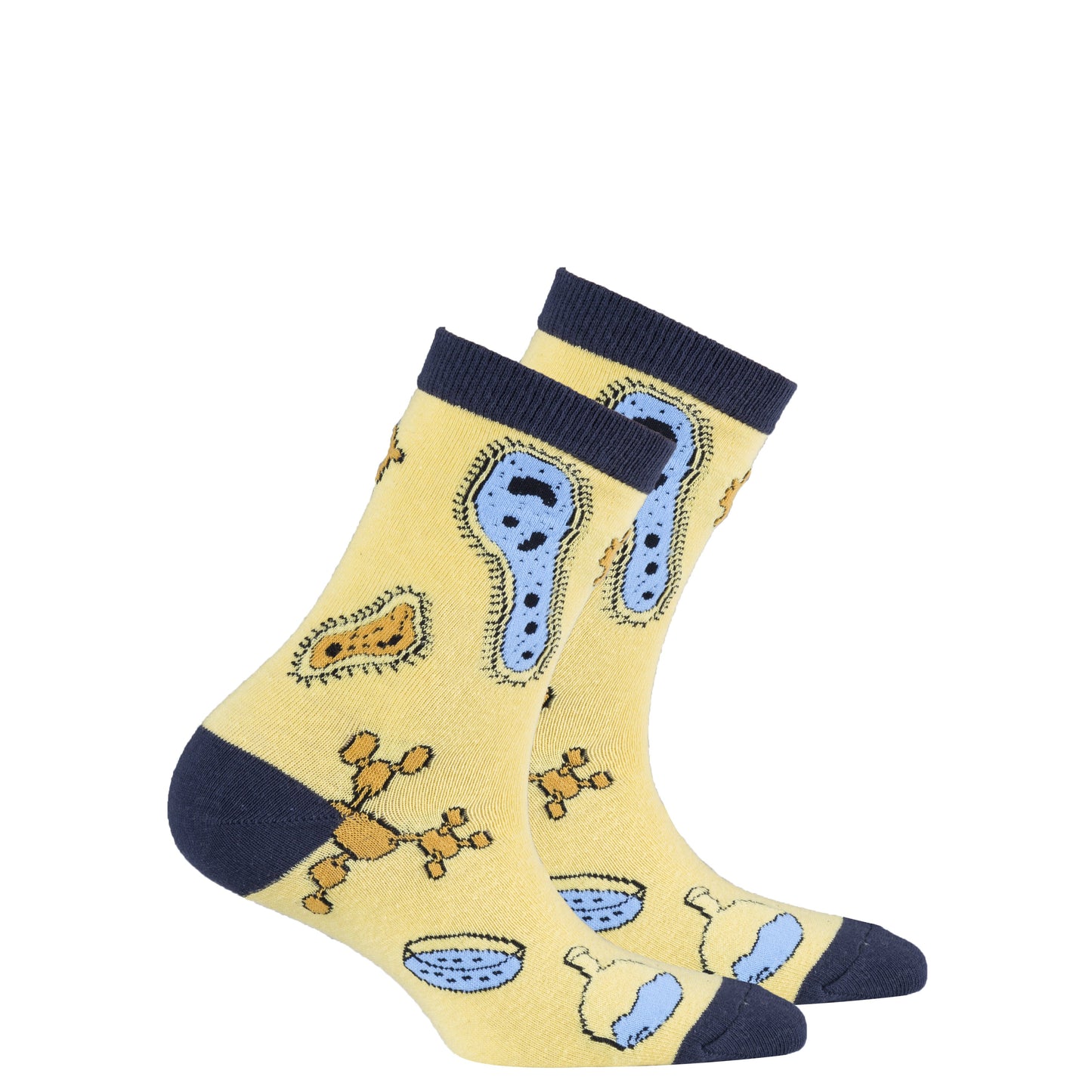 Kids Biology Socks