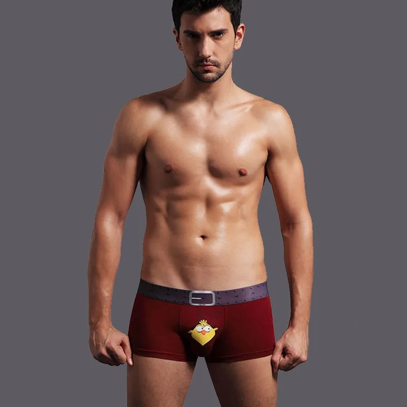 Calzoncillos tipo bóxer y slip para hombre de Christie Kirkland con divertidos dibujos animados