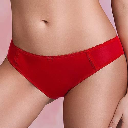 Sheer Back Bikini Panty Stefi L Crimson