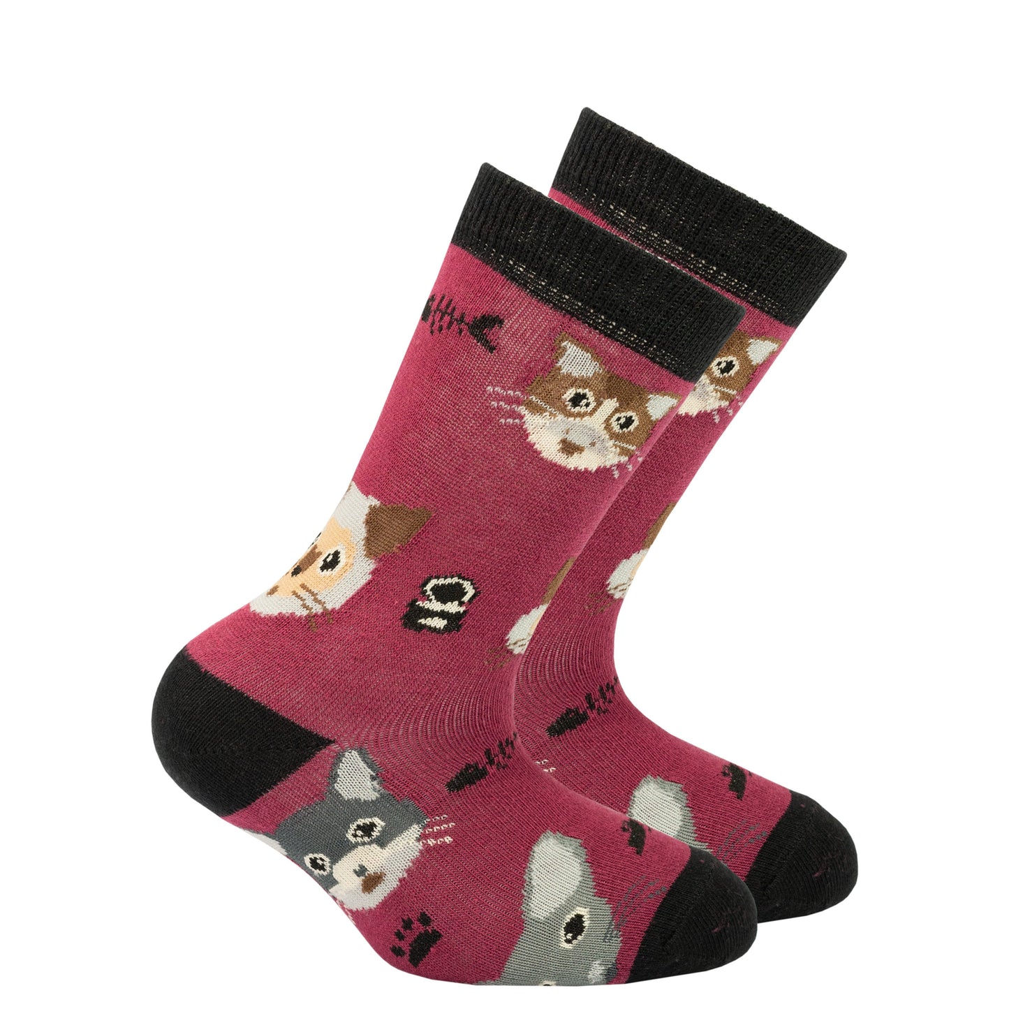 Kids Cute Cats Socks