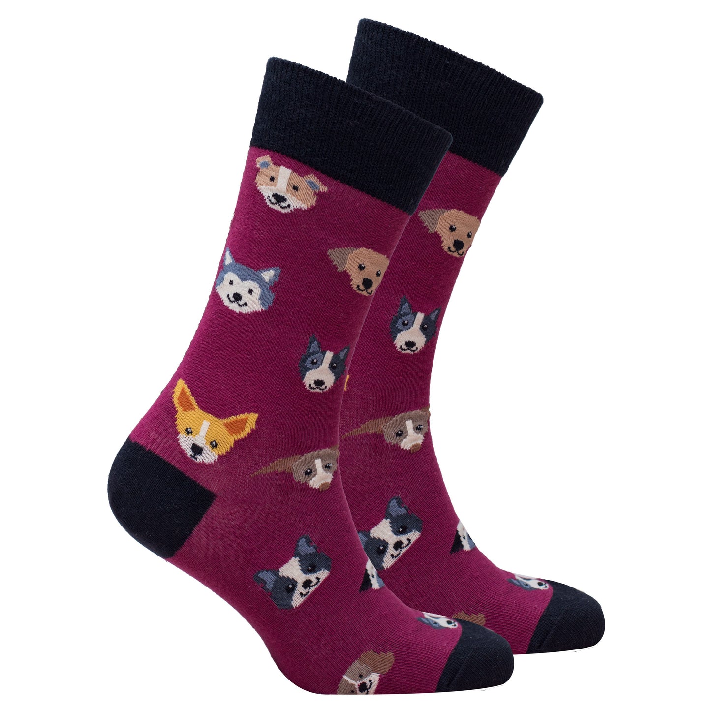 Men's Dogs Socks