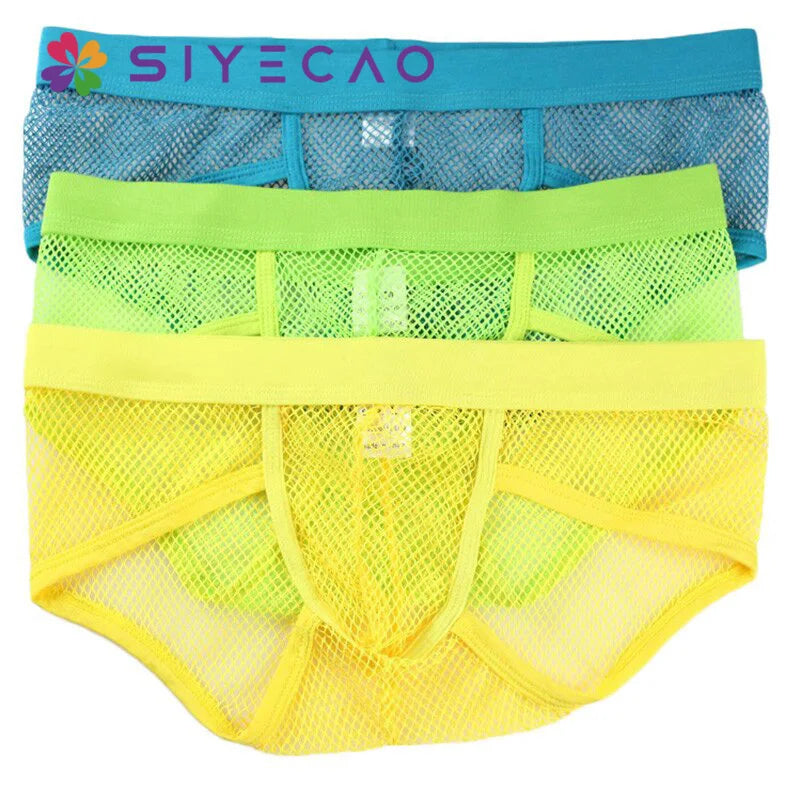 Men's Transparent Net Mesh Bikini Brief Underwear (Low Waist)