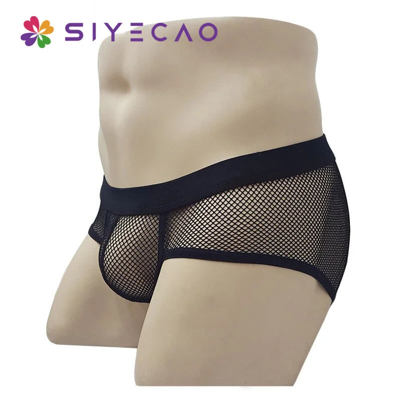 Men's Transparent Net Mesh Bikini Brief Underwear (Low Waist)