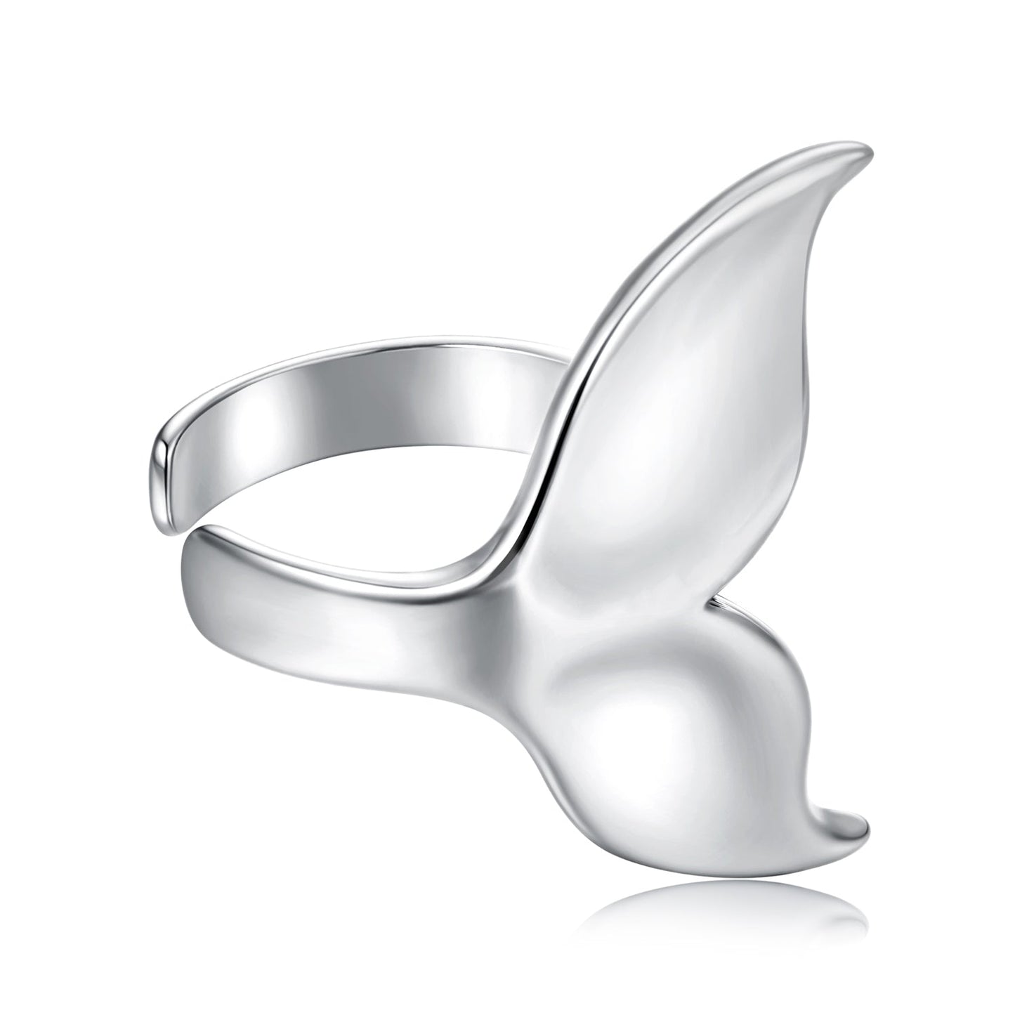 925 Sterling Silver Earrings for Women